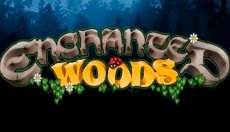Enchanted Woods (Зачарованные леса)