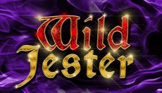 Wild Jester (Дикий Шут)