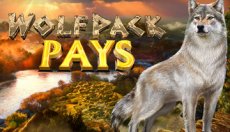 Wolfpack Pays (Вольфпак платит)