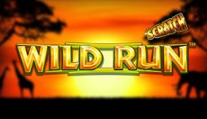 Wild Run Scratch (Дикий Запуск Скрэтч)