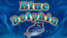 Blue Dolphin (Голубой дельфин)