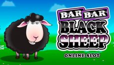 Bar Bar Black Sheep (Бар-бар Черная овца)